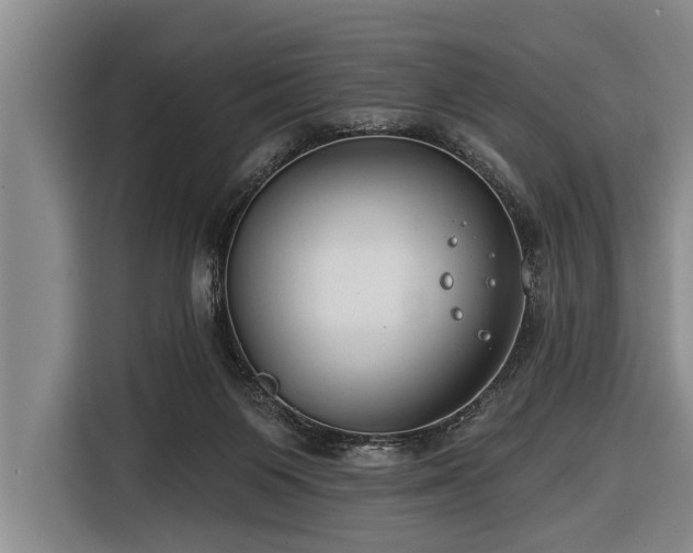 X0000116670119200912211611