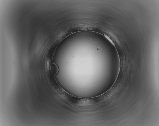 X0000116670123200912211611