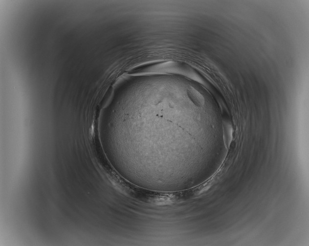 X0000116670124200912211611