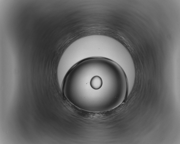 X0000116670125200912211611