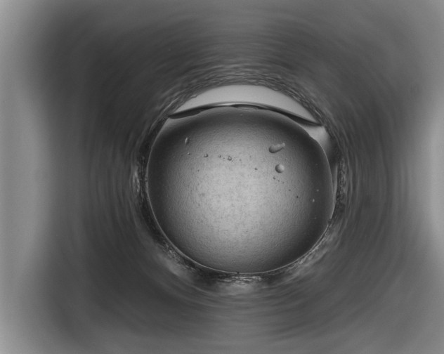 X0000116670128200912211611