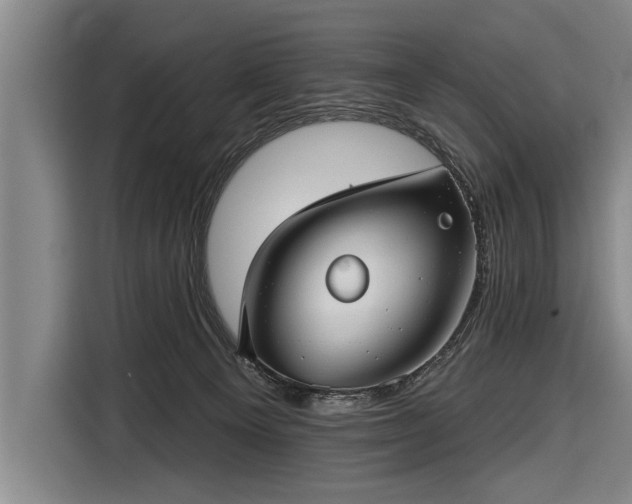 X0000116670129200912211611