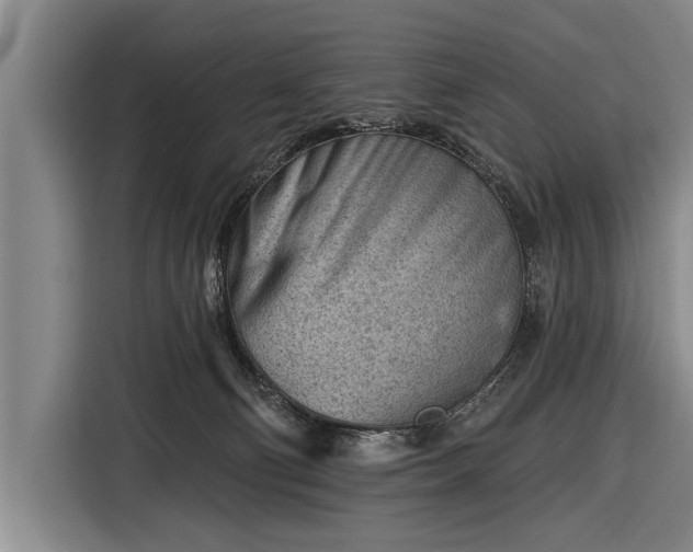 X0000116670130200912211611