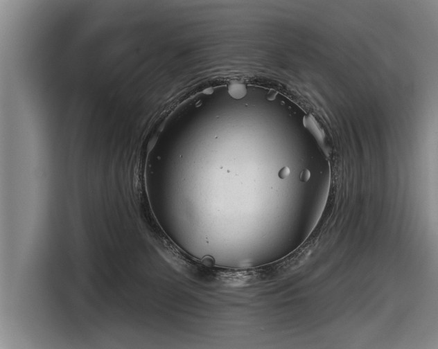 X0000116670131200912211611