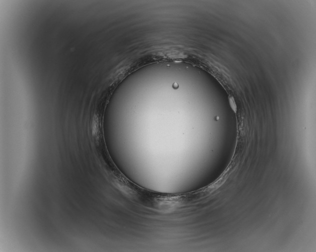 X0000116670132200912211611