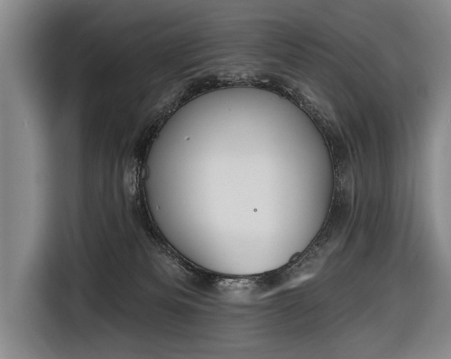 X0000116670133200912211611