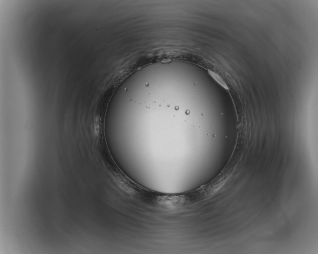 X0000116670135200912211611