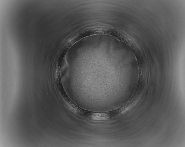 X0000116670137200912211611