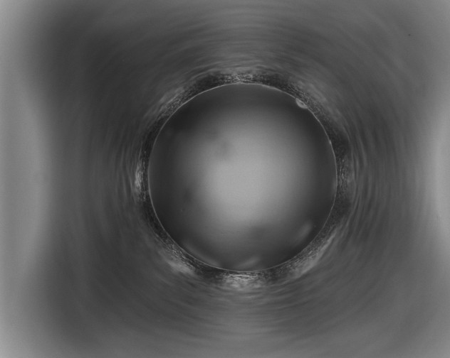 X0000116670139200912211611