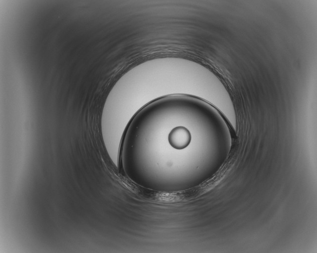 X0000116670141200912211611