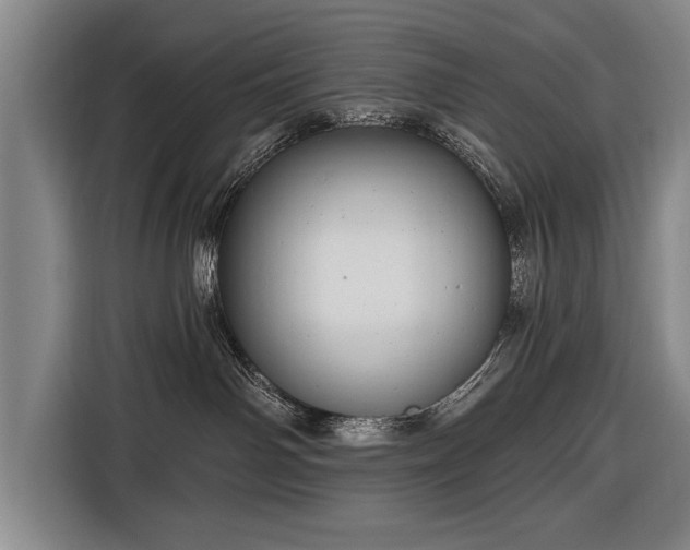 X0000116670142200912211611