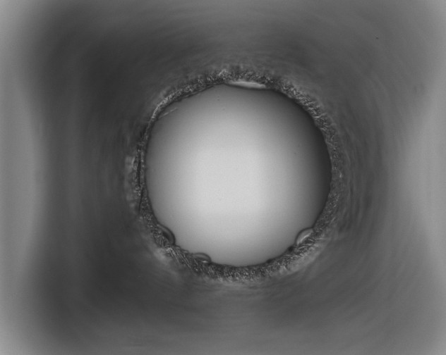 X0000116670144200912211611