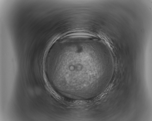 X0000116670145200912211610