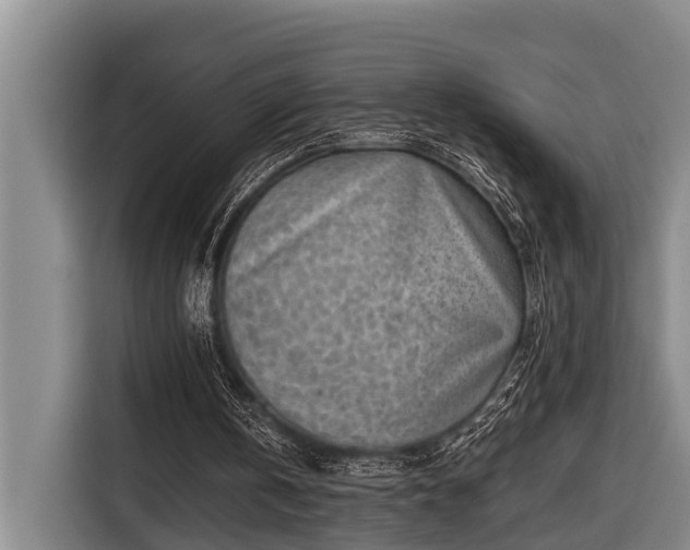 X0000116670146200912211610