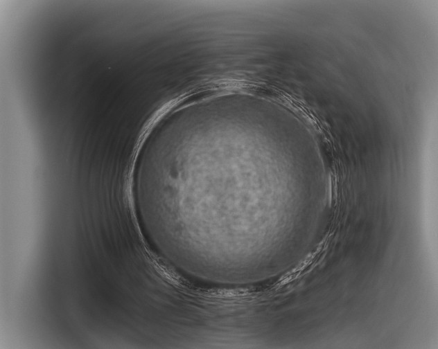 X0000116670147200912211610