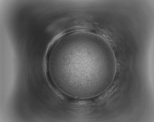 X0000116670149200912211610