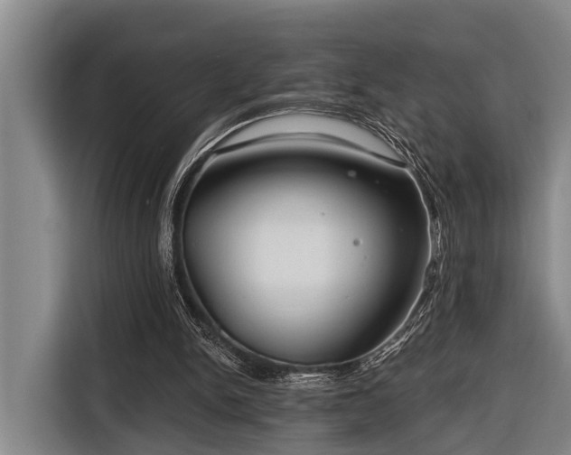 X0000116670150200912211610