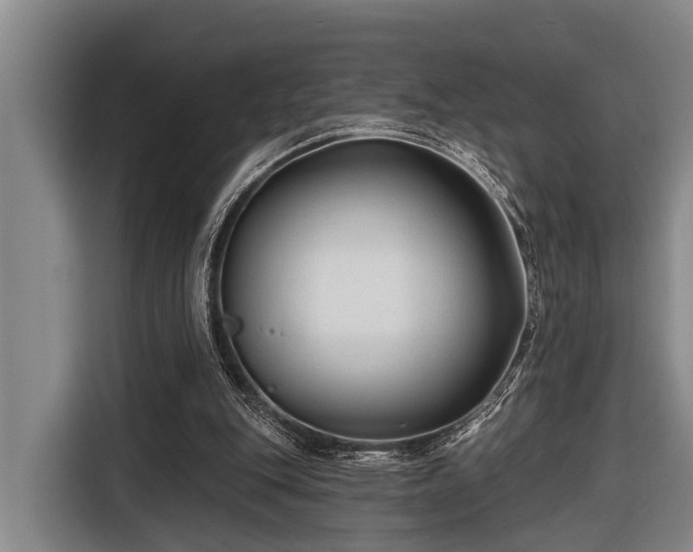 X0000116670151200912211610