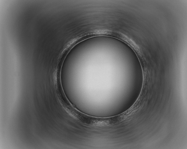 X0000116670155200912211610