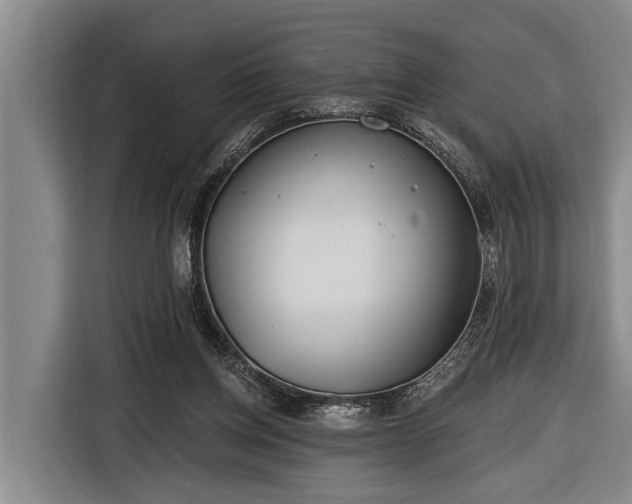 X0000116670158200912211610