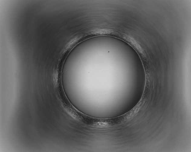 X0000116670159200912211610