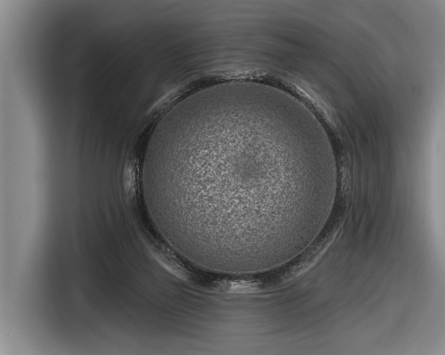 X0000116670165200912211610