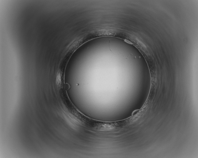 X0000116670166200912211610