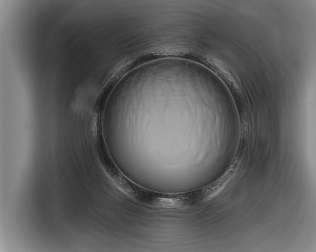 X0000116670167200912211610