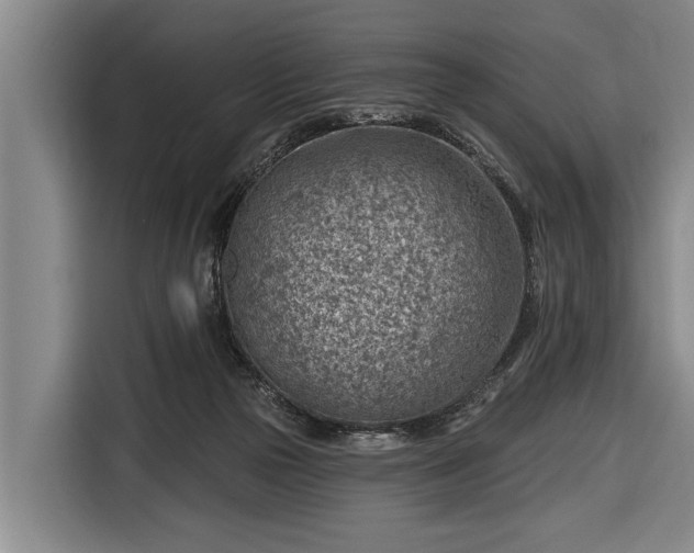 X0000116670169200912211611