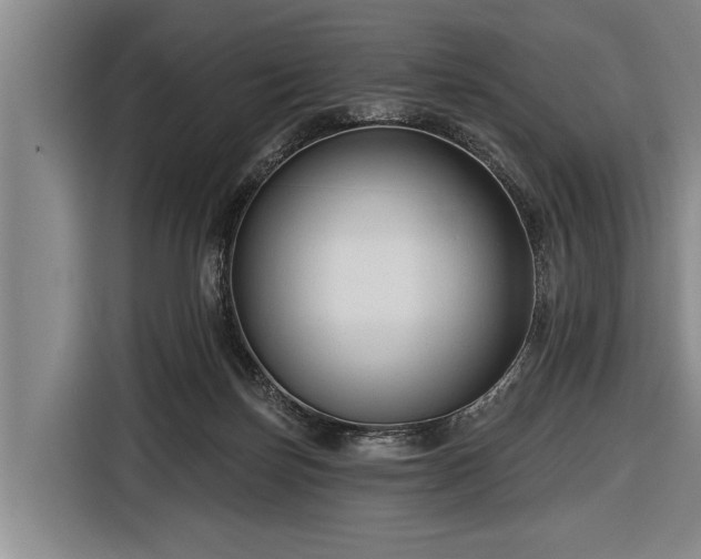 X0000116670171200912211611