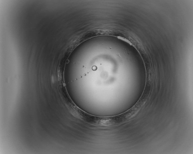 X0000116670173200912211611