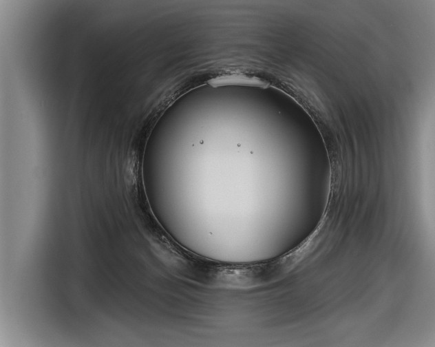 X0000116670174200912211611