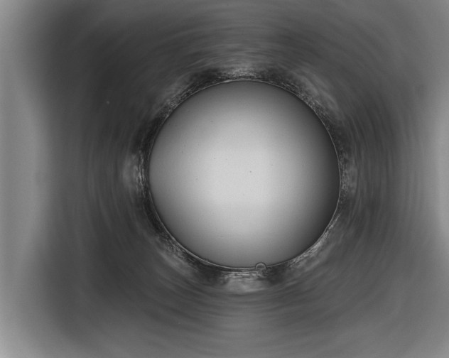 X0000116670179200912211611