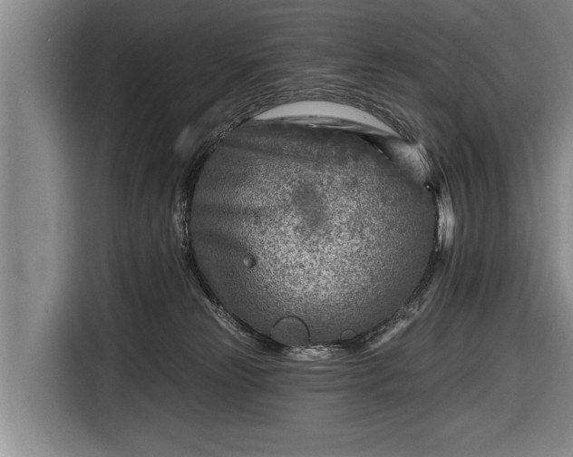 X0000116670181200912211611