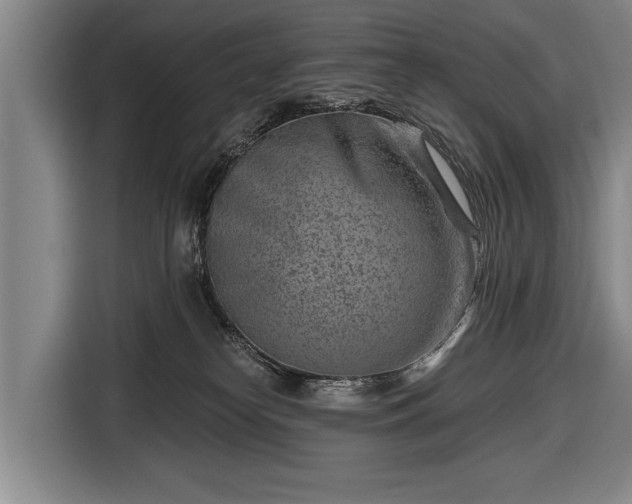 X0000116670182200912211611