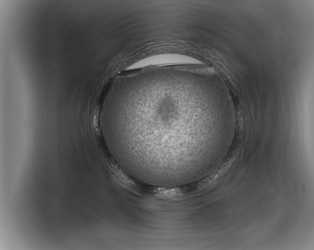 X0000116670185200912211611