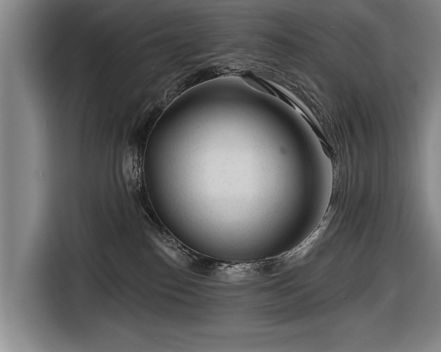 X0000116670186200912211611