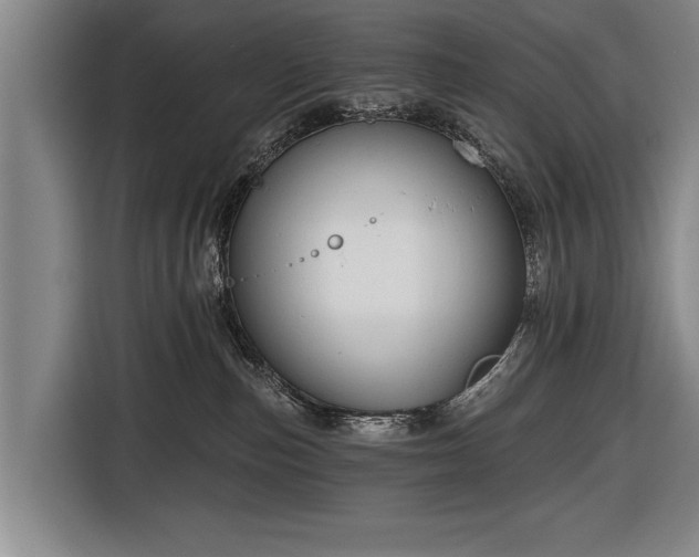 X0000116670187200912211611