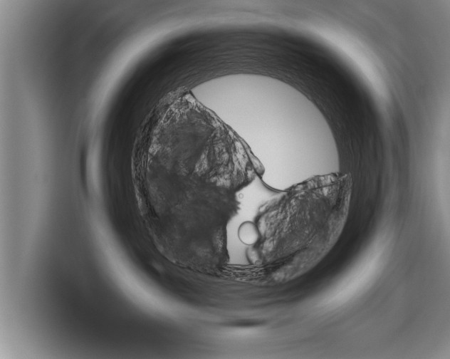 X0000116670189200912211611