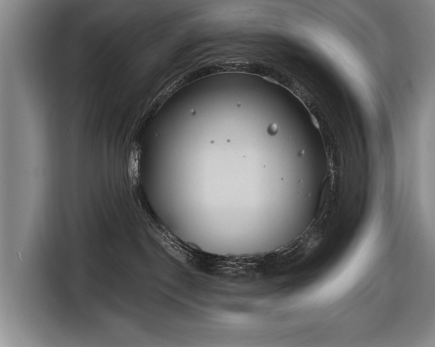 X0000116670190200912211611