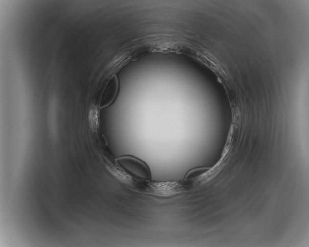 X0000116670191200912211611