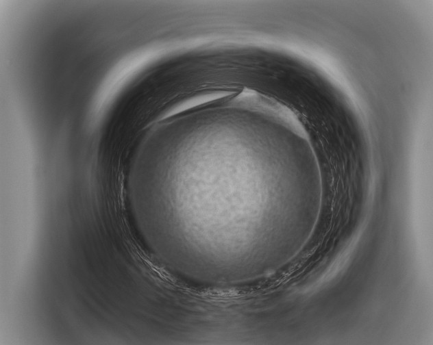 X0000116670194200912211610