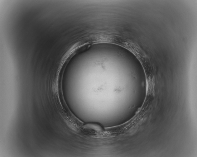 X0000116670195200912211610