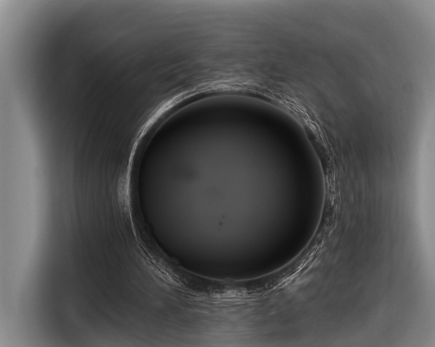 X0000116670196200912211610