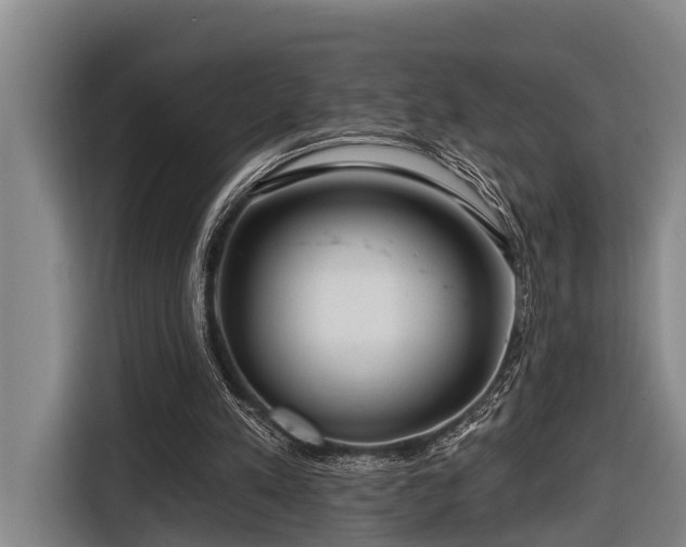 X0000116670197200912211610