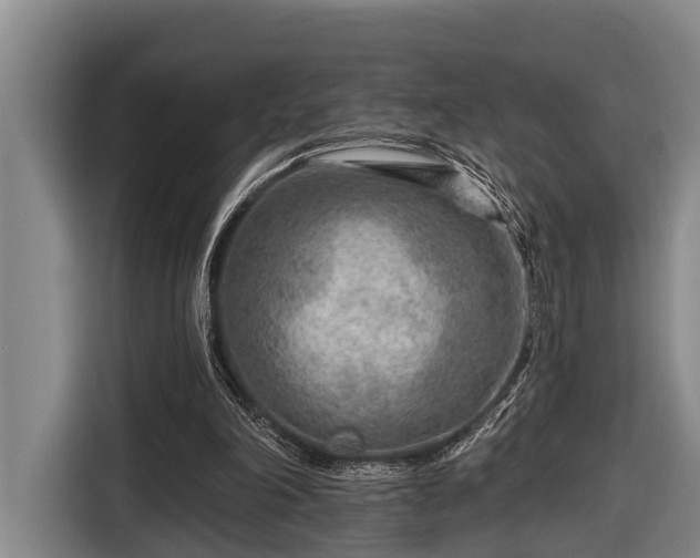 X0000116670198200912211610