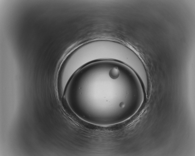 X0000116670199200912211610