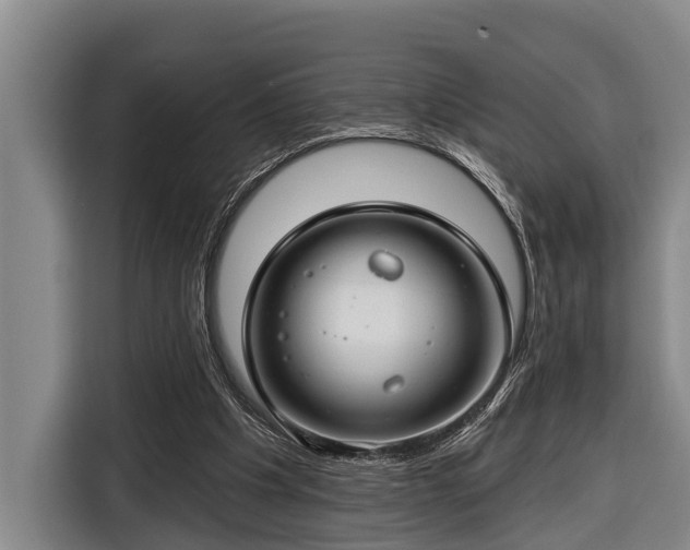 X0000116670201200912211610