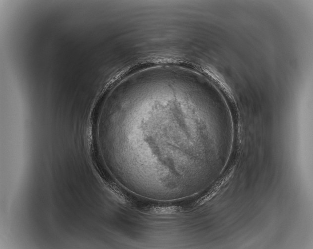 X0000116670202200912211610