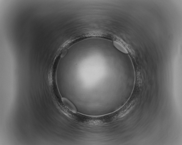 X0000116670203200912211610